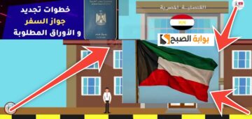خطوات تجديد جواز السفر المصري بالكويت والشروط ومتطلبات التجديد 2024