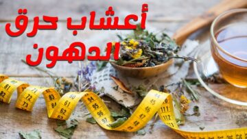 إيه اكثر حاجة تنزل دهون البطن بسرعة وصفات طبيعية للتخسيس الصحي بدون مجهود ؟