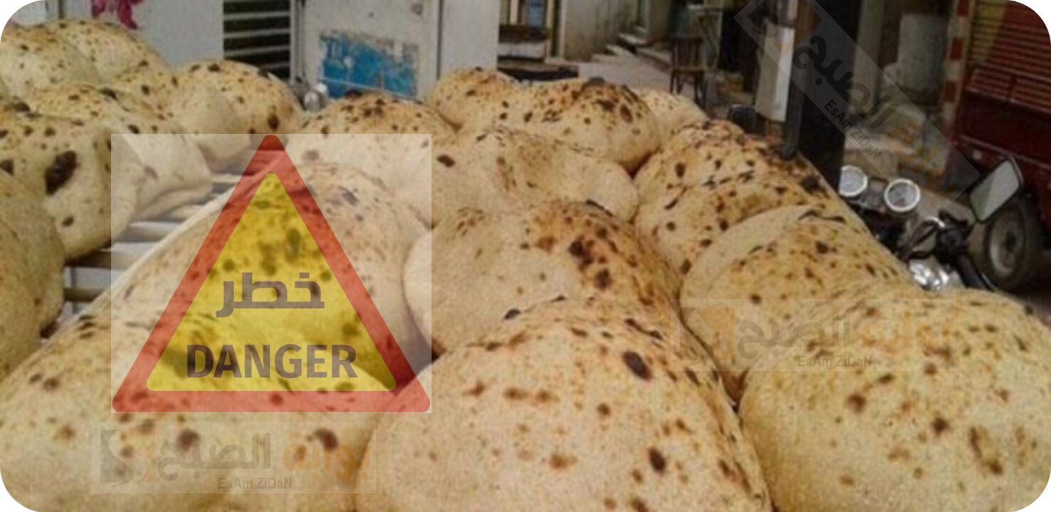 خطورة تجميد الخبز والخطوات السليمة لتخزين الخبز بشكل صحي وامن 6 خطورة تجميد الخبز والخطوات السليمة لتخزين الخبز بشكل صحي وامن