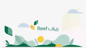 تاريخ إيداع الدعم الريفي ومن هم المستفيدين من الدعم 2024