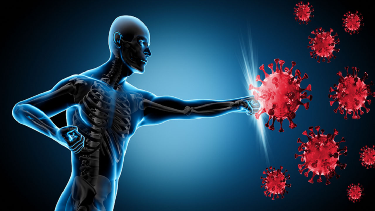 أطعمة ومشروبات لرفع المناعة والوقاية من الأمراض 5 أطعمة ومشروبات لرفع المناعة والوقاية من الأمراض