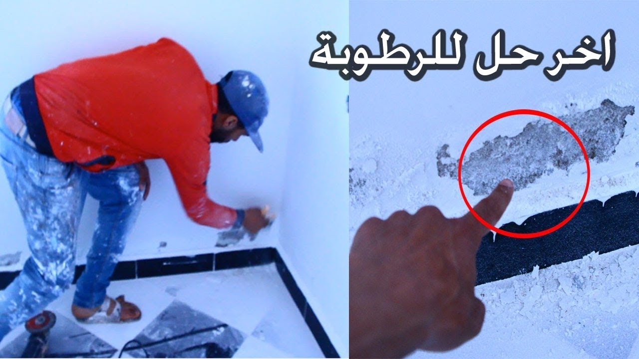 بدون تكاليف.. عفن ورطوبة الحوائط والقضاء عليهم بطريقة سهله هترجع الحوائط جديده بدون تعب ولا مجهود