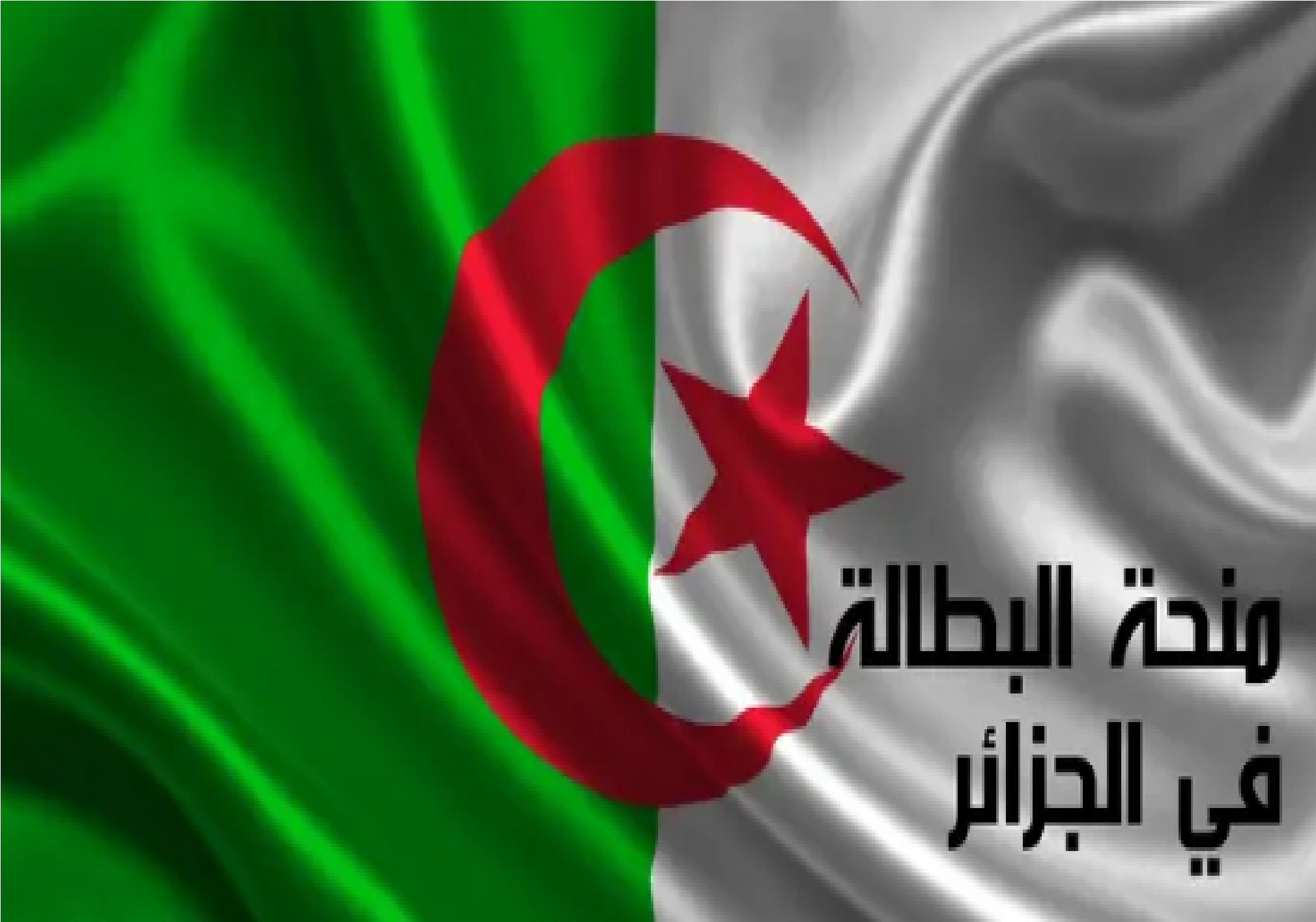 شروط منحة البطالة 2024 الجديدة ورابط التسجيل عبر anem.dz