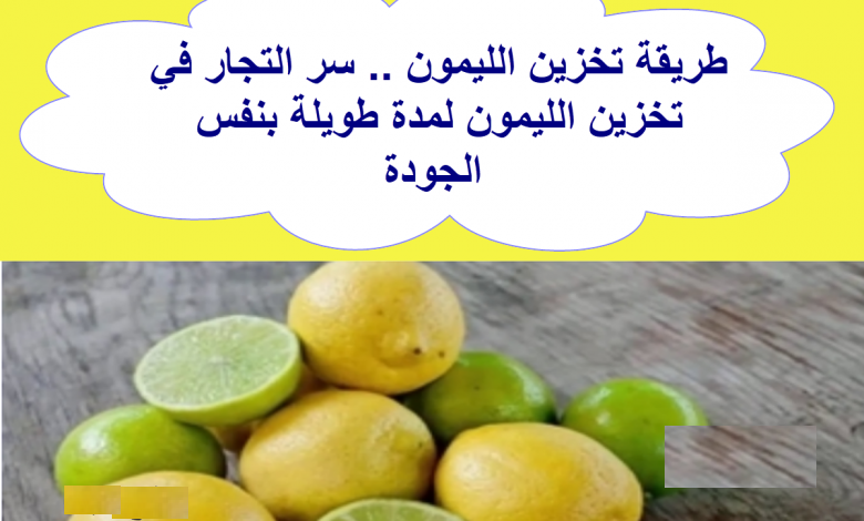 خزني الليمون لرمضان ووفري فلوسك معلقة واحدة لحفظ الليمون بدون فريزر وتحدي 5 خزني الليمون لرمضان ووفري فلوسك معلقة واحدة لحفظ الليمون بدون فريزر وتحدي
