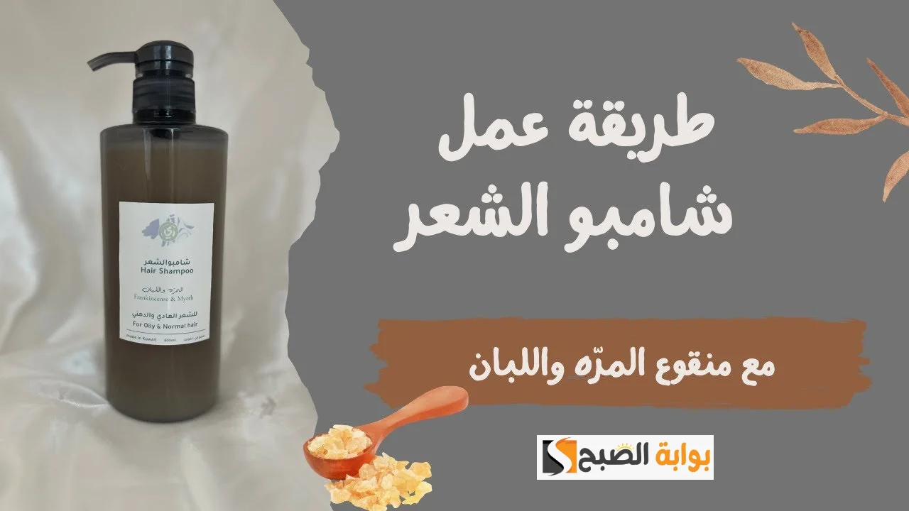 أفضل طريقة لعمل الشامبو في المنزل بمكونات طبيعية يعمل على ترطيب وتنعيم الشعر "مش هتبطلي تستخدميه طول عمرك" 5 أفضل طريقة لعمل الشامبو في المنزل بمكونات طبيعية يعمل على ترطيب وتنعيم الشعر “مش هتبطلي تستخدميه طول عمرك”