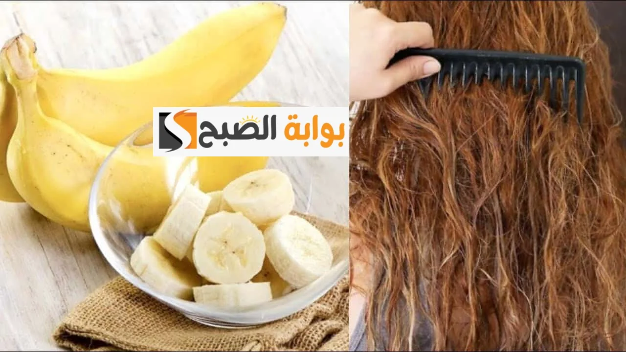 كيراتين الموز لفرد الشعر الخشن والمجعد في 30 دقيقة "هتبقى زي ملكات الجمال" 5 كيراتين الموز لفرد الشعر الخشن والمجعد في 30 دقيقة “هتبقى زي ملكات الجمال”