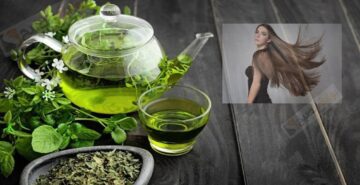 طريقة لاستخدام الشاي الأخضر في وصفات العناية بالشعر وفي حاله واحده يمنع استخدامه
