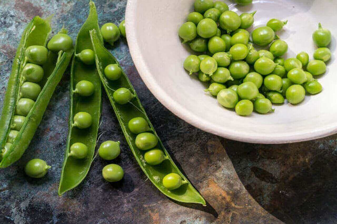 هذا ما يحدث للجسم عند تناول البسلة الخضراء البازلاء تعرف على فوائدها الصحية 5 هذا ما يحدث للجسم عند تناول البسلة الخضراء البازلاء تعرف على فوائدها الصحية