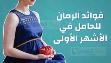فوائد الرمان للحامل وما هي العناصر الغذائية الهامة التي يحتويها