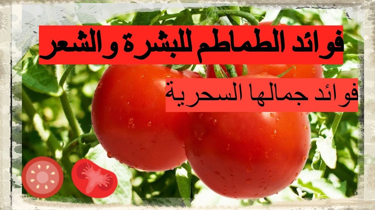 فوائد الطماطم للبشرة والجسم والشعر السحرية 5 فوائد الطماطم للبشرة والجسم والشعر السحرية
