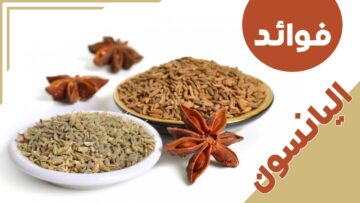 اليانسون نبات عطري غني بالفوائد الصحية