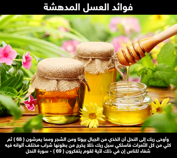 فوائد عسل النحل في فصل الشتاء معلقة كل يوم وانسي البرد والانفلوانزا