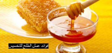 أهمية وفوائد تناول عسل الطلح…منها التخسيس والوقاية من الامراض