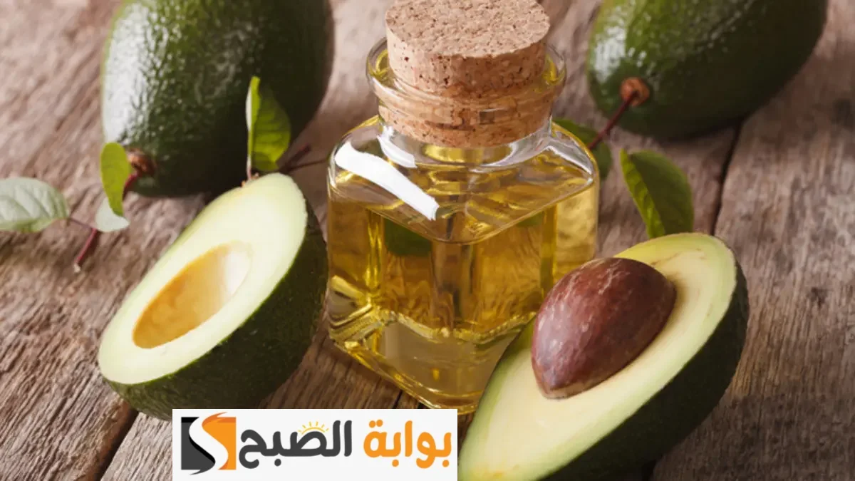 قناع زيت الزيتون مع الأفوكادو الحل المثالي السريع للتخلص من قشرة الشعر والحكة المستمرة "قومي جربيها حالا" 5 قناع زيت الزيتون مع الأفوكادو الحل المثالي السريع للتخلص من قشرة الشعر والحكة المستمرة “قومي جربيها حالا”