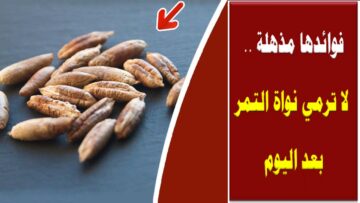 كنز اوعي تاني ترميه.. نواه التمر ضاع عمرنا منعرفش فوائده من اليوم مش هتستغني عنه استخدامات وفوائد رهيبة