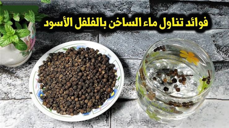 «مشروب سحري».. 10 فوائد لم تعرفها من قبل عن ماء الفلفل الأسود.. منها التخسيس وعلاج الزهايمر 5 «مشروب سحري».. 10 فوائد لم تعرفها من قبل عن ماء الفلفل الأسود.. منها التخسيس وعلاج الزهايمر