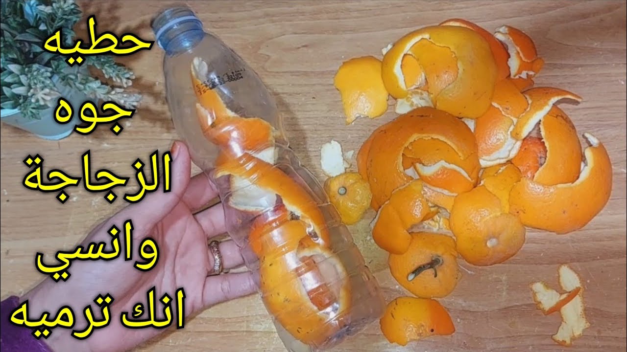 مترميش قشر البرتقال بعد ما تقشريه وحوشيه في ازايز هينفعك في البيت هيعملك المعجزات 5 مترميش قشر البرتقال بعد ما تقشريه وحوشيه في ازايز هينفعك في البيت هيعملك المعجزات