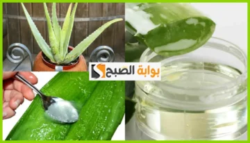 قناع جل الصبار مع العسل والنشا لشد البشرة وإزالة التجاعيد “بديل سريع للبوتكس”