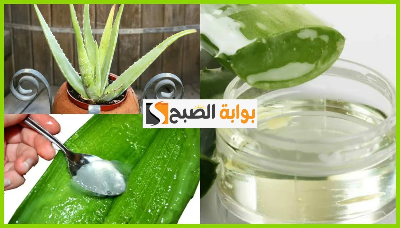 قناع جل الصبار مع العسل والنشا لشد البشرة وإزالة التجاعيد “بديل سريع للبوتكس”