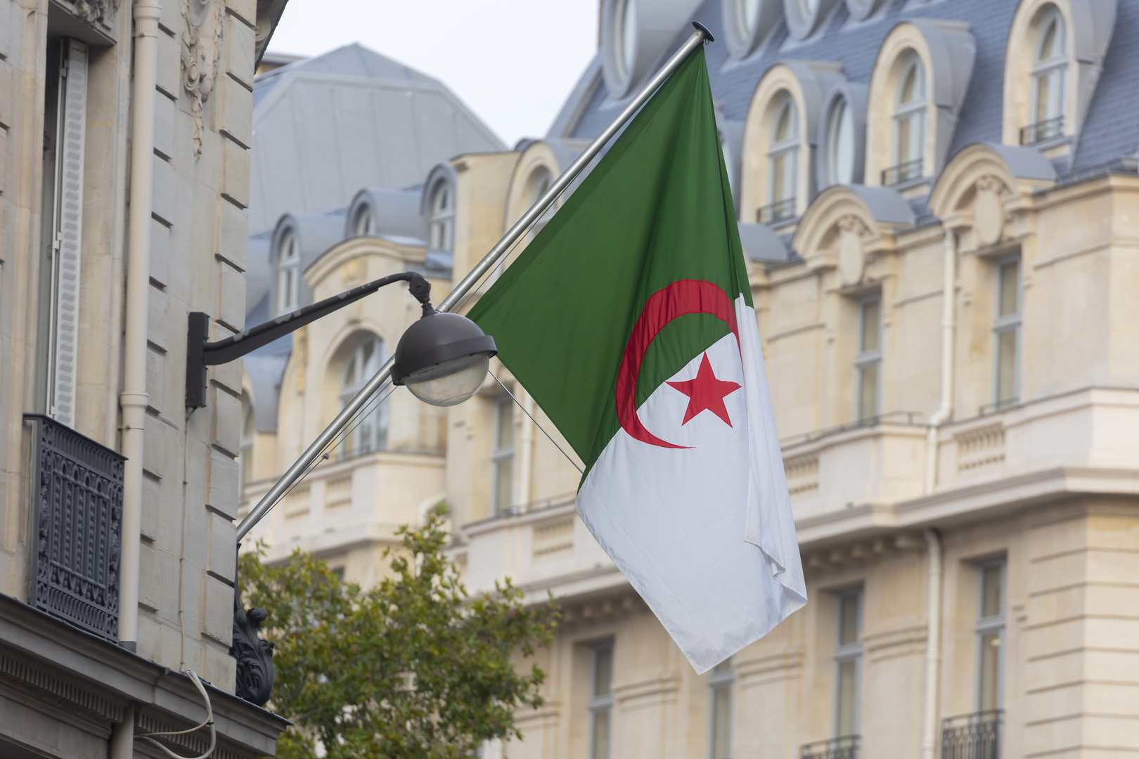 منحة المرأة المطلقة في الجزائر 2024م.. إليك الرابط وخطوات التسجيل 5 منحة المرأة المطلقة في الجزائر 2024م.. إليك الرابط وخطوات التسجيل