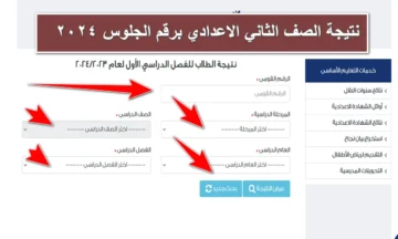 نتيجة الصف الثاني الاعدادي محافظة القاهرة 2024 بالاسم ورقم الجلوس بوابة التعليم الاساسي