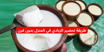 ” استعدي لرمضان” .. إليكِ الآن طريقة تحضير الزبادي في المنزل وبطعم خطير أحلى من المحلات!!
