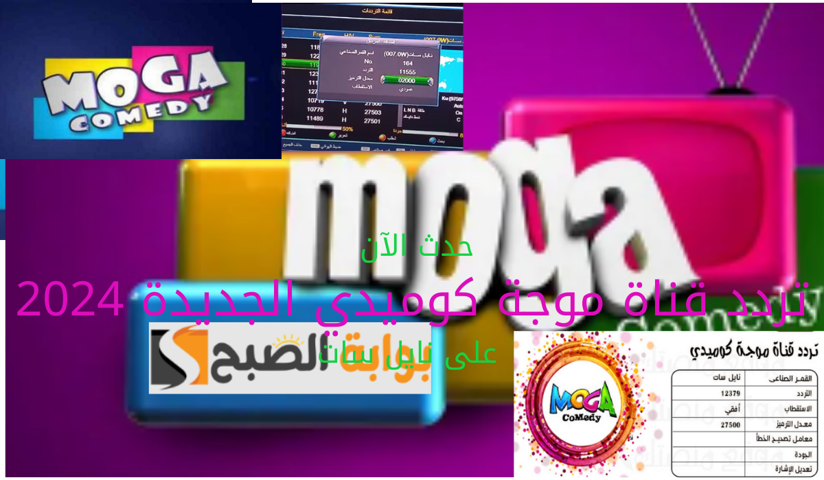 حدث الآن تردد قناة موجة كوميدي الجديدة 2024 على نايل سات 5 حدث الآن تردد قناة موجة كوميدي الجديدة 2024 على نايل سات