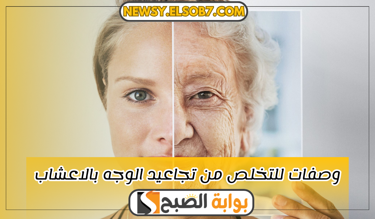 أفضل 3 وصفات لمقاومة التجاعيد الوجه بالاعشاب الطبيعية "انسي صالون التجميل" 5 أفضل 3 وصفات لمقاومة التجاعيد الوجه بالاعشاب الطبيعية “انسي صالون التجميل”