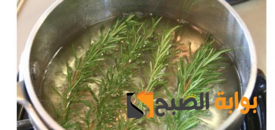 وصفة اكليل الجبل للشعر طول ولمعان بدون تساقط بمكونات طبيعية ومجربة 5 وصفة اكليل الجبل للشعر طول ولمعان بدون تساقط بمكونات طبيعية ومجربة
