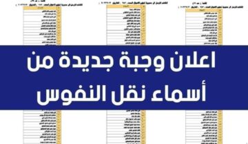 رابط استخراج أسماء نقل النفوس للوجبة 131 والأخيرة بالعراق 2024