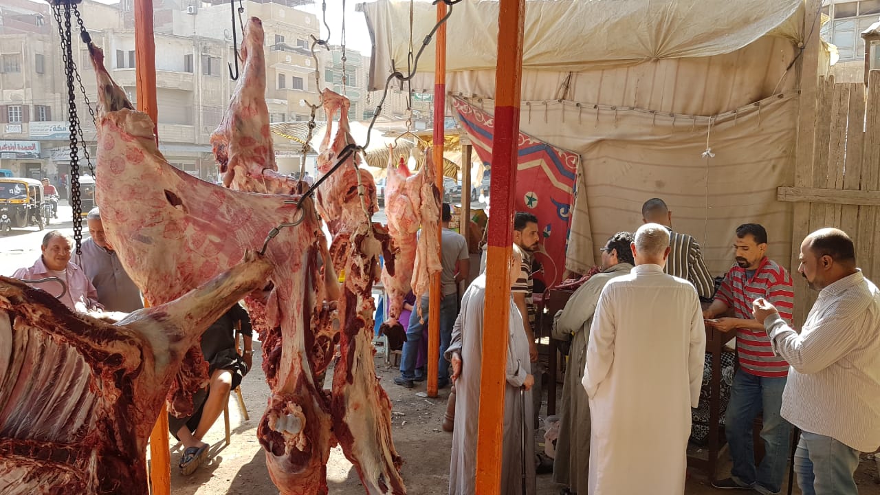 وزارة الزراعة تُفرح المصريين وتطلق مبادرة توفير اللحوم البلدية بأسعار مخفضة 5 وزارة الزراعة تُفرح المصريين وتطلق مبادرة توفير اللحوم البلدية بأسعار مخفضة