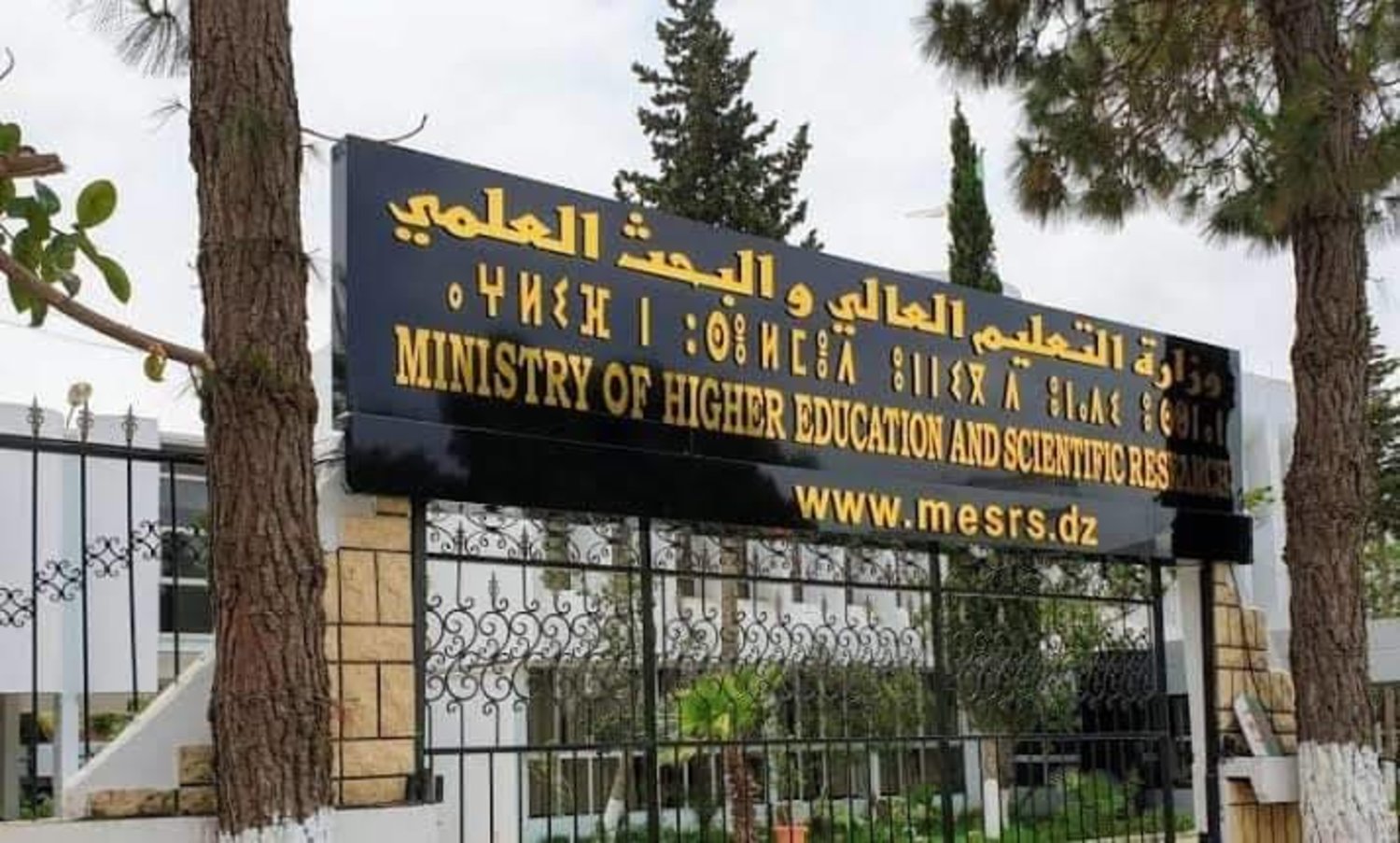 القانون الأساسي للأستاذ الجامعي 2024 في الجزائر وتفاصيل الزيادة 5 القانون الأساسي للأستاذ الجامعي 2024 في الجزائر وتفاصيل الزيادة
