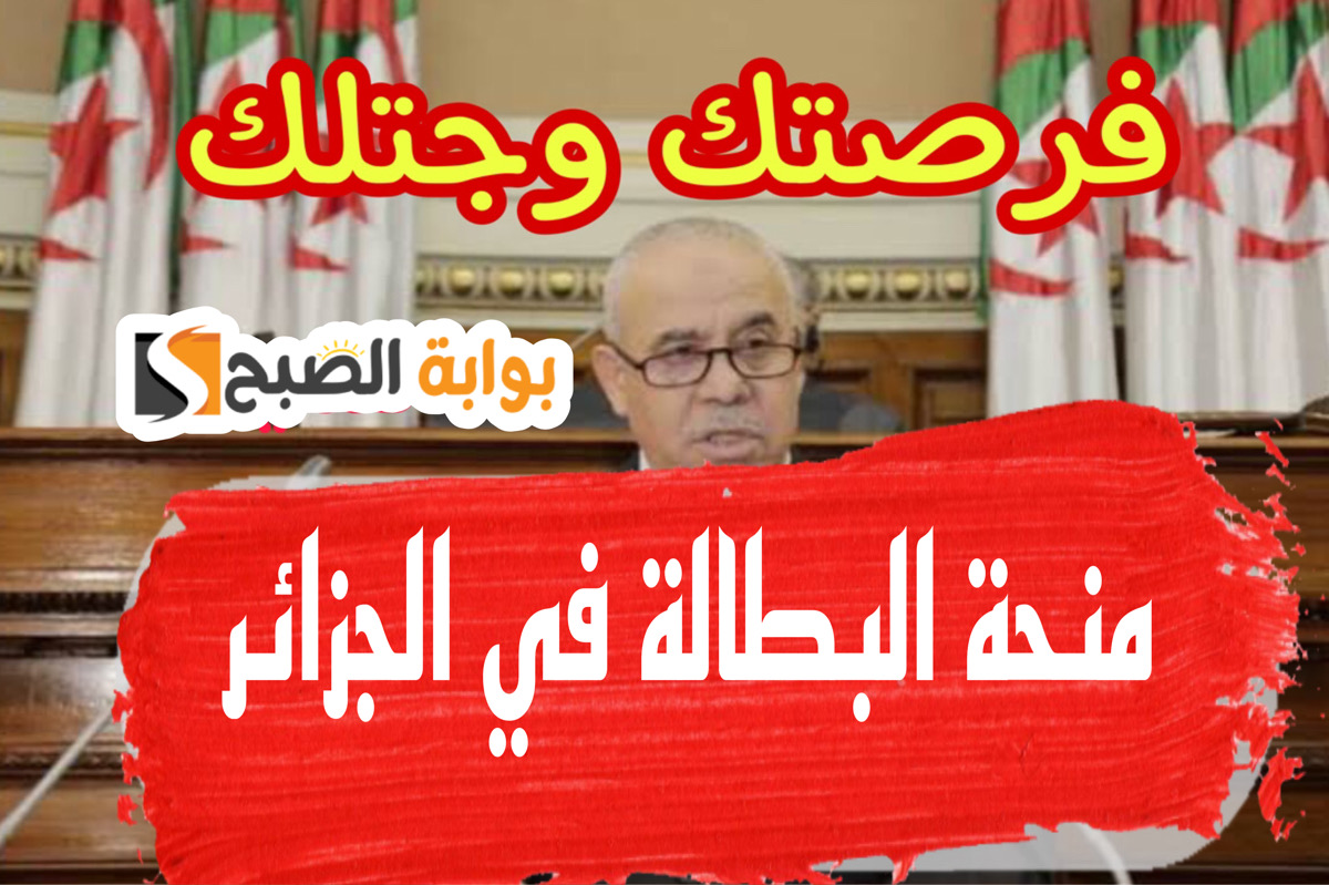 اليكـــم رابط منحة البطالة في الجزائر 2024 + أبرز الشروط للتقديم عبر الوكالة الوطنية للتشغيل 5 اليكـــم رابط منحة البطالة في الجزائر 2024 + أبرز الشروط للتقديم عبر الوكالة الوطنية للتشغيل