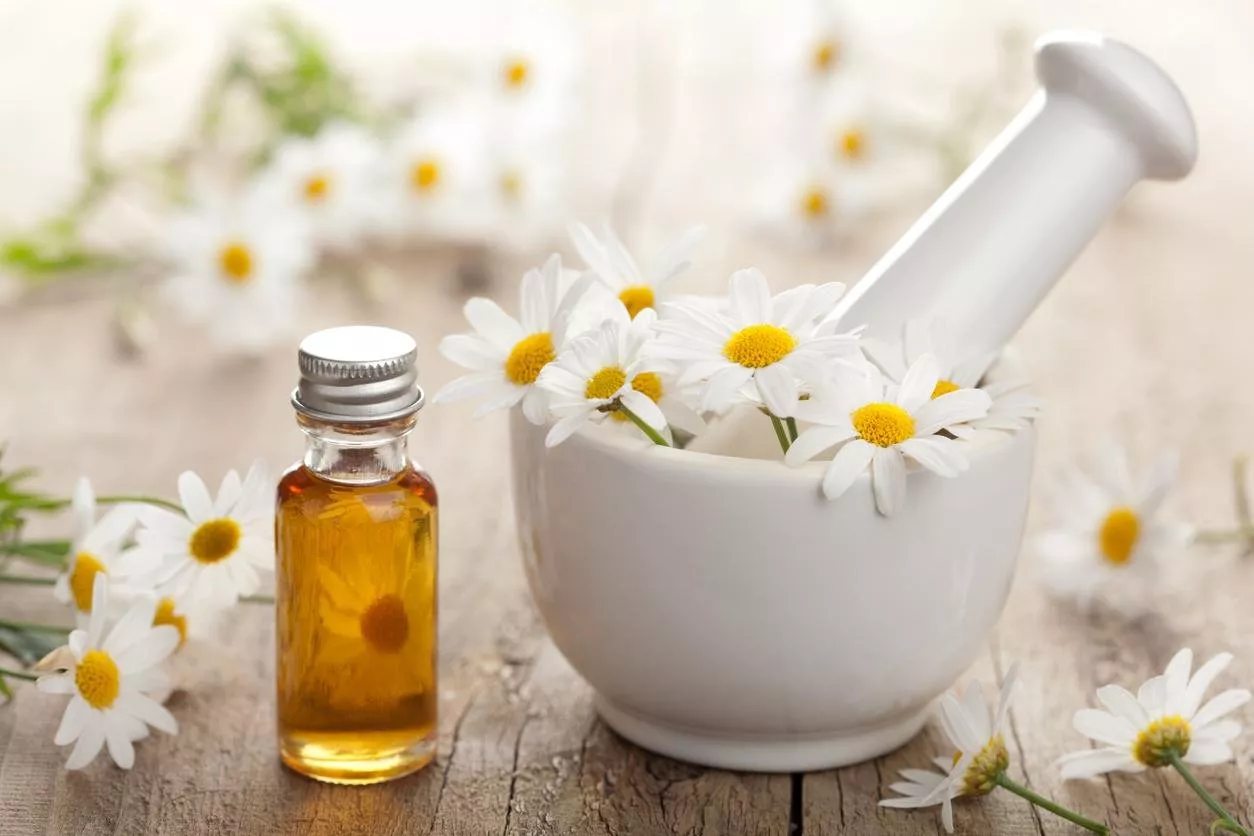 أهمها تفتيح البشرة وعلاج التصبغات .. فوائد البابونج للبشرة عديدة تعرف عليها الآن 5 أهمها تفتيح البشرة وعلاج التصبغات .. فوائد البابونج للبشرة عديدة تعرف عليها الآن