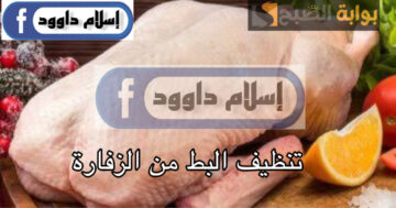 هتلمع من النضافة.. في دقايق بس طريقة تنظيف البط والوز من الزفارة والتخلص من الريش بسهولة