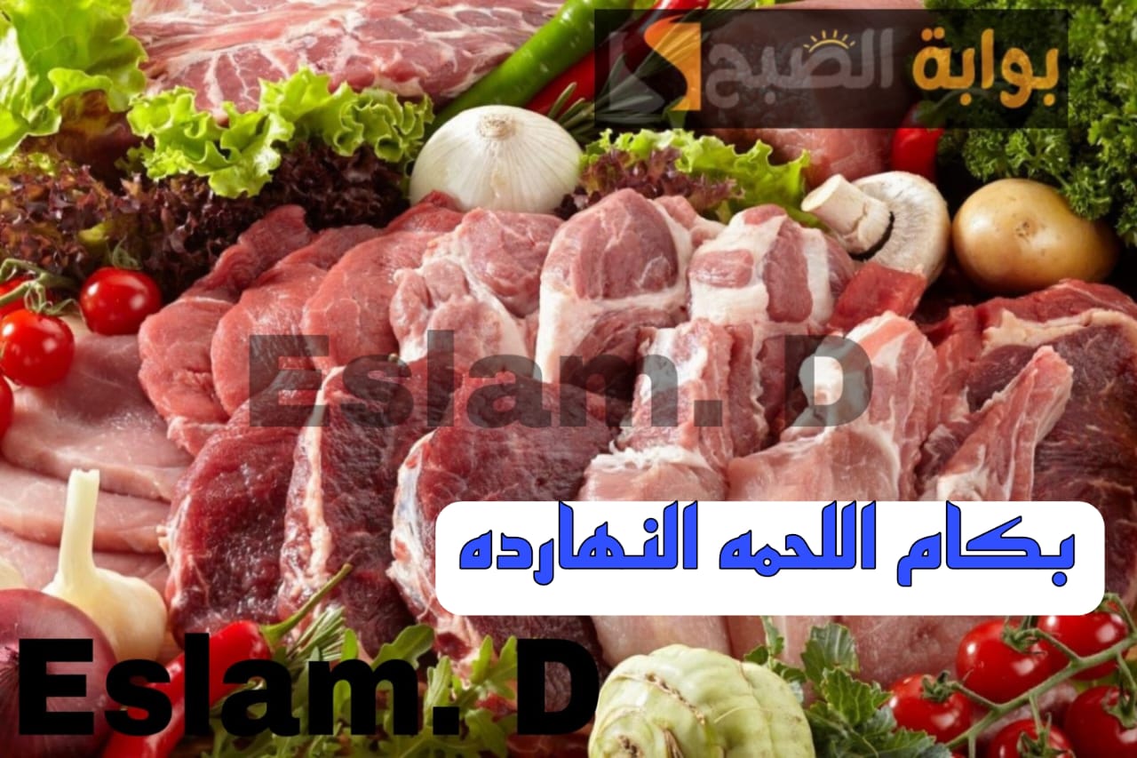 ”اللحمة بكام النهاردة“.. تعرف على أسعار اللحوم الحمراء اليوم الأحد 18 فبراير 2024 في المحلات 5 ”اللحمة بكام النهاردة“.. تعرف على أسعار اللحوم الحمراء اليوم الأحد 18 فبراير 2024 في المحلات