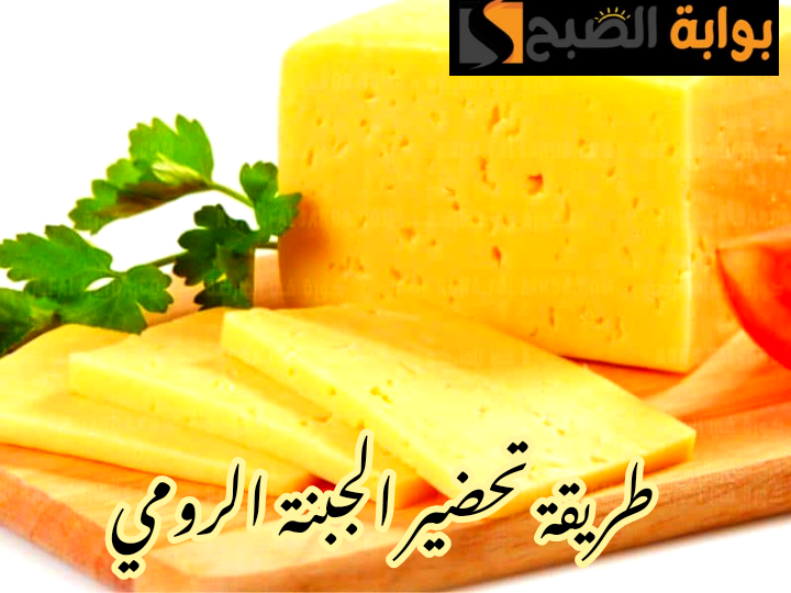 بالطعم الأصلي وأقل التكاليف... طريقة تحضير الجبنة الرومي في المنزل بمكونات بسيطة واقتصادية؟!! 5 بالطعم الأصلي وأقل التكاليف… طريقة تحضير الجبنة الرومي في المنزل بمكونات بسيطة واقتصادية؟!!
