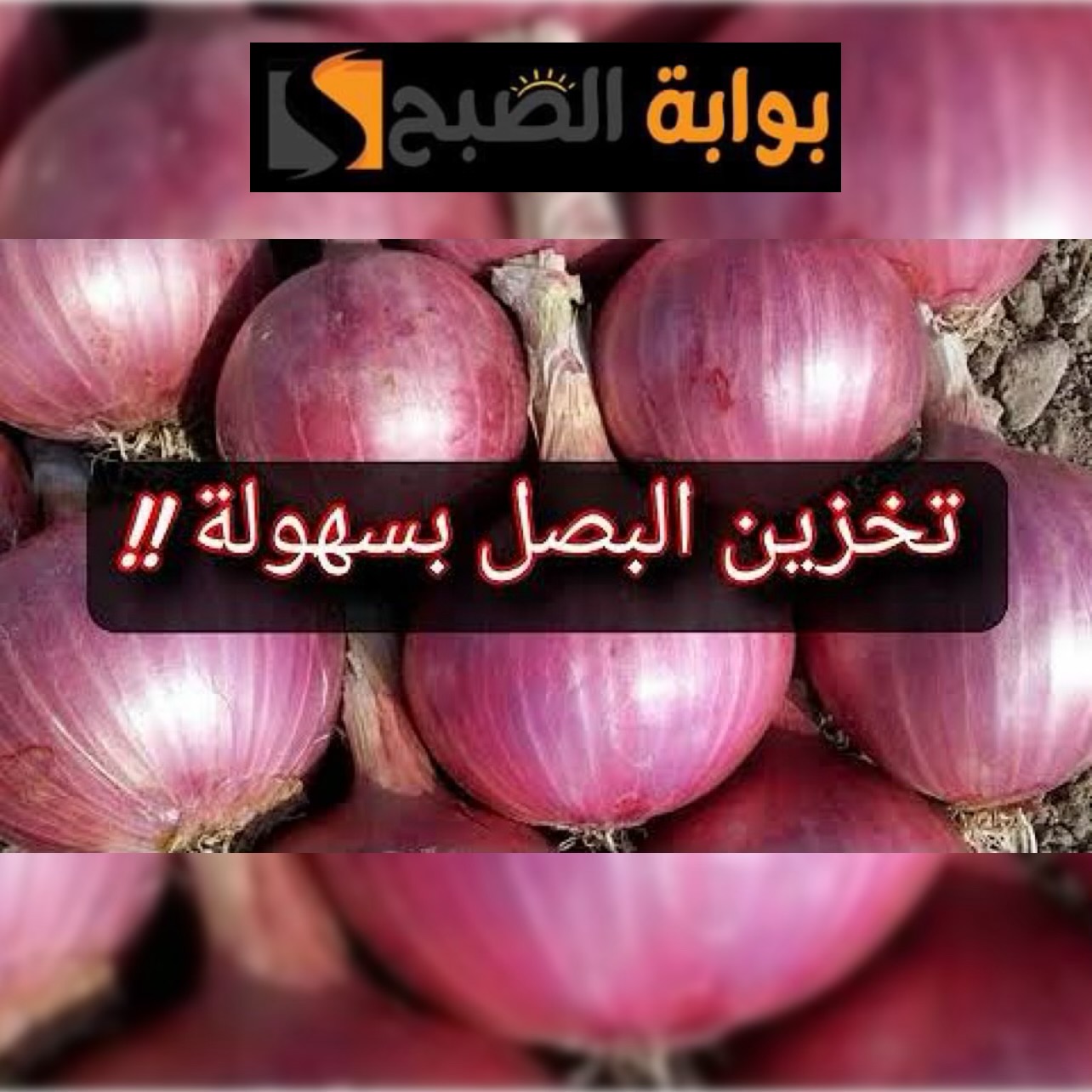 وداعاً للثلاجة! خليكي ست بيت ناصحة واتعلمي تخزين البصل لمدة سنة كاملة دون تلف!