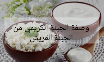 مش هتشتريها من بره تاني …افضل طريقة لصنع الجبنة الكريمي من اللبن