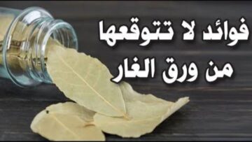 خسارة إني معرفتهاش من زمان.. سر في ورق الغار مش هتصدقيه غير لما تجربيه بنفسك