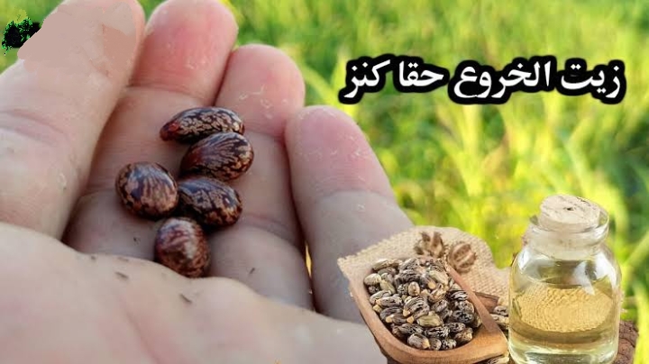 مش هتعرفي تمشي منه.. زيت سحري لتطويل وتكثيف الشعر بشكل مش هتصدقيه 5 مش هتعرفي تمشي منه.. زيت سحري لتطويل وتكثيف الشعر بشكل مش هتصدقيه