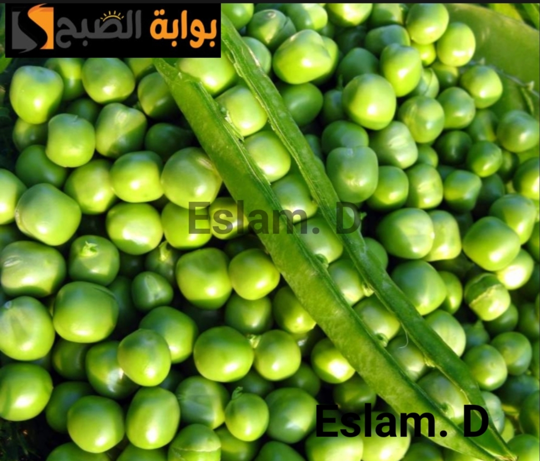 جارتي المغربية قالتلي عليها.. اسرع طريقة لتقشير البسلة وكمان تعملى ايه بقشور البسلة!! 6 جارتي المغربية قالتلي عليها.. اسرع طريقة لتقشير البسلة وكمان تعملى ايه بقشور البسلة!!