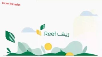 كيف يمكن لغير المؤهلين في دعم المواشي إعادة تقديم الدفعة 24؟ الرد من وزارة الزراعة