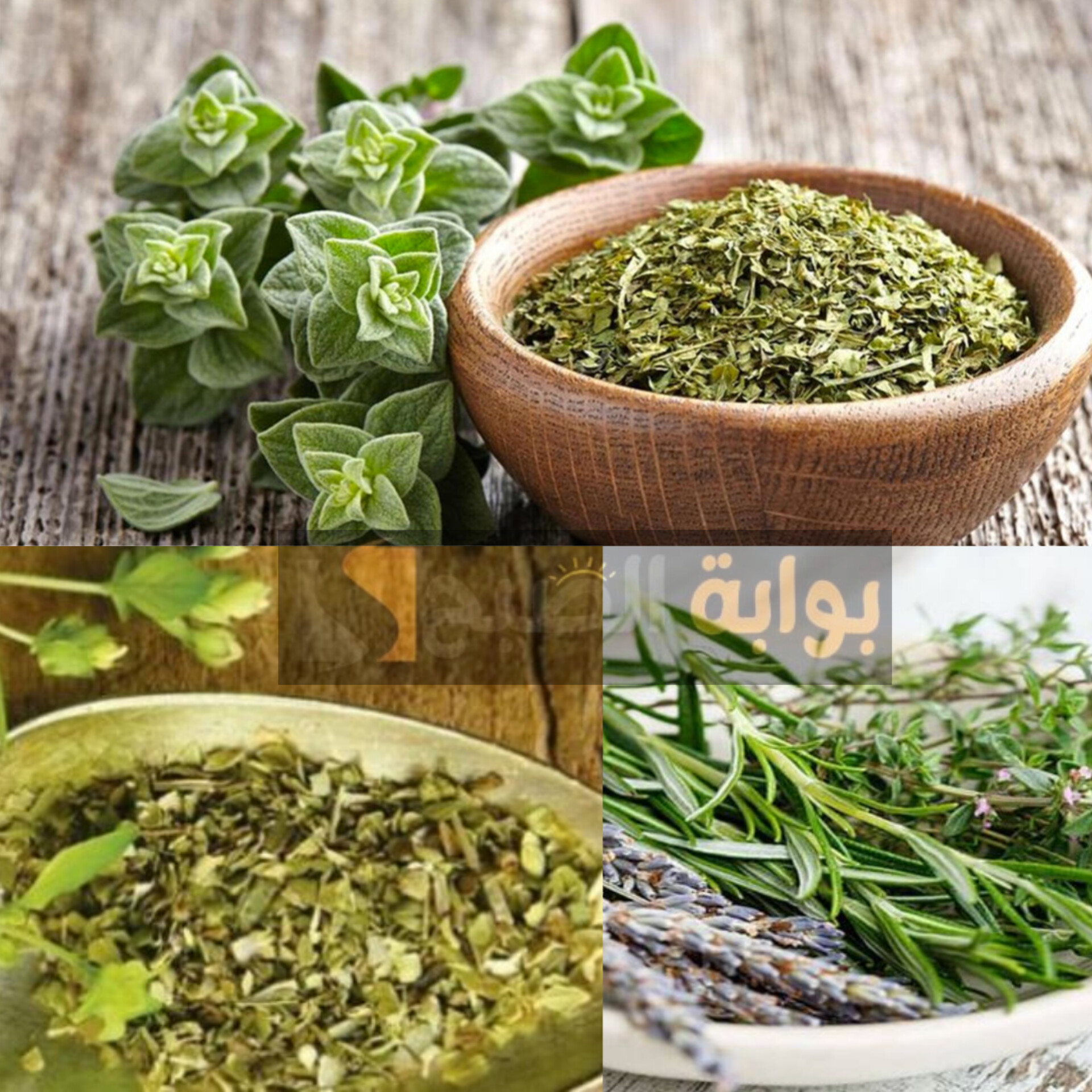 حلك في العطارة...عشبة طبيعية لجعل شعرك أقوى وأطول بدون تكاليف 5 حلك في العطارة…عشبة طبيعية لجعل شعرك أقوى وأطول بدون تكاليف