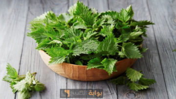 ضيعنا عمرنا واحنا بنخاف منها.. كنز مجهول متوفر بكثرة من غير ما تعرف قيمته الحقيقية