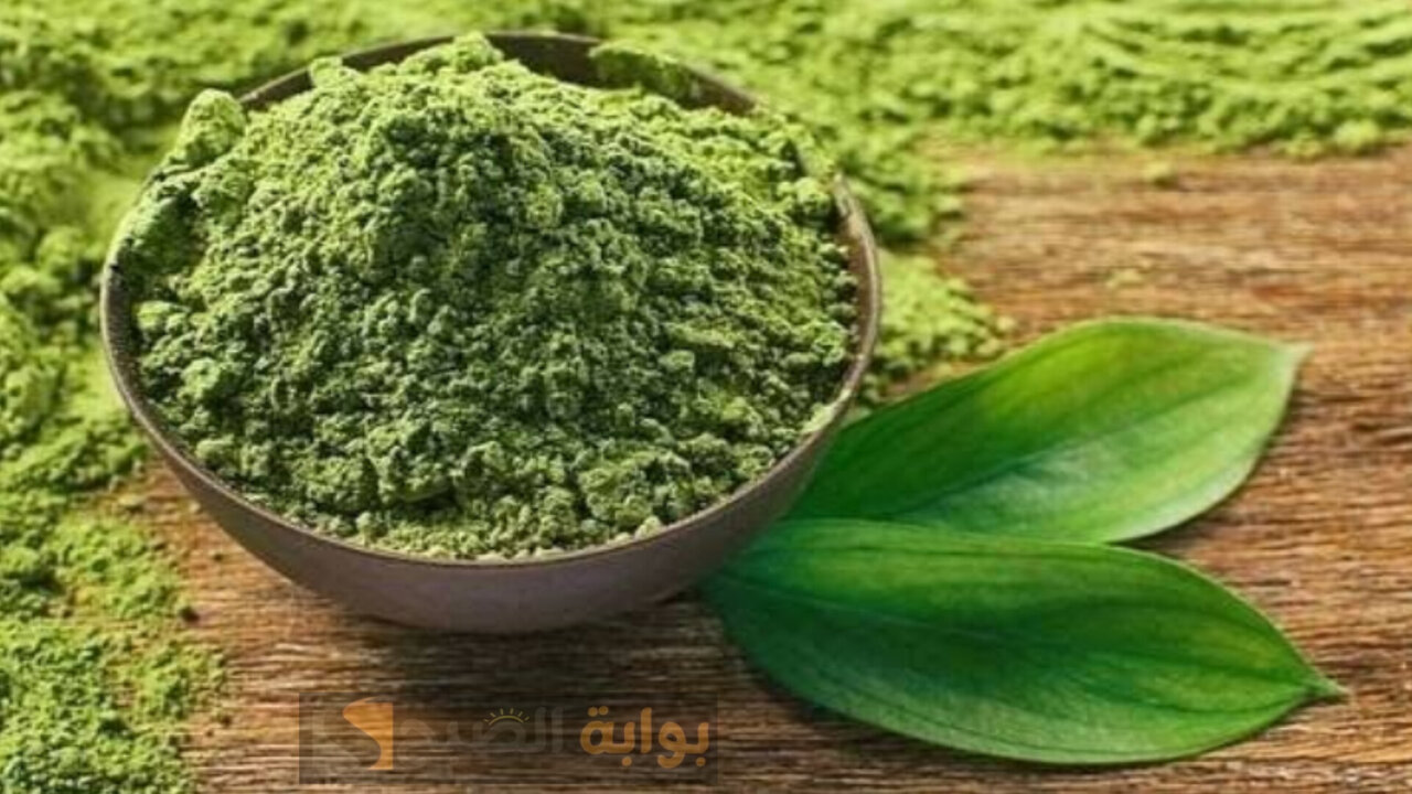 شبابك هيكمل معاكي لآخر العمر.. هذه هي العشبة الأشهر على الإطلاق في التخلص من الشيب خلال دقائق