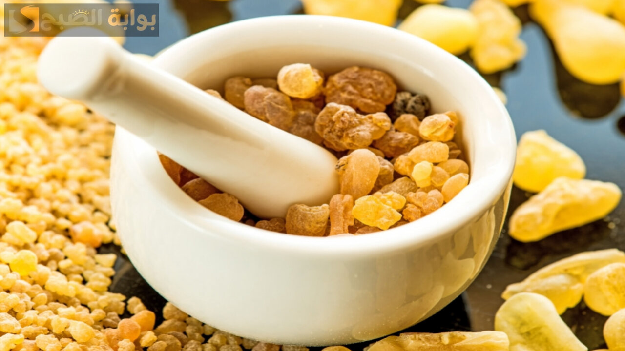 استخرجي كولاجين سحري من هذا المكون الموجود في منزلك بهذه الطريقة 5 استخرجي كولاجين سحري من هذا المكون الموجود في منزلك بهذه الطريقة