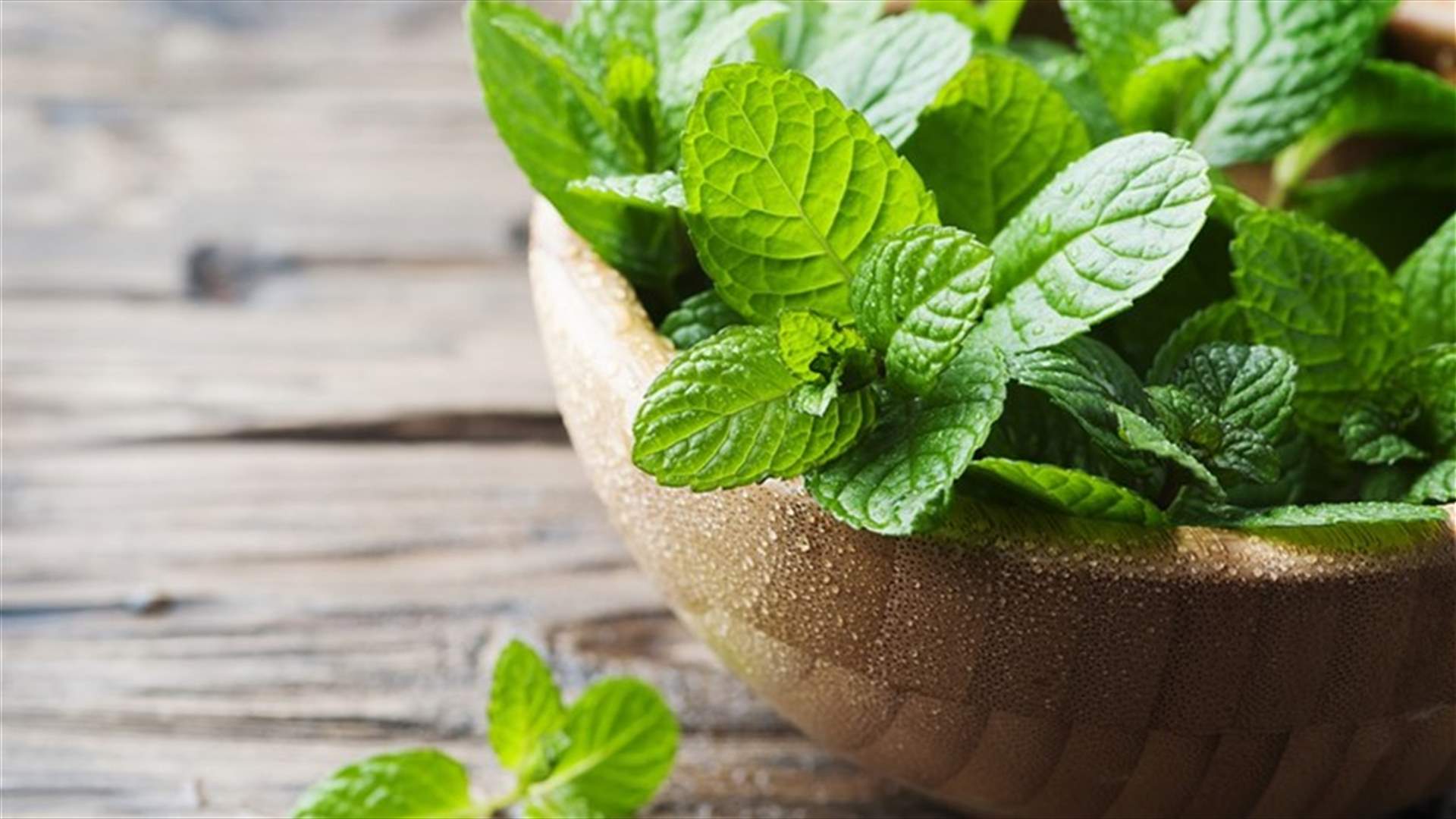 أهمها علاج حب الشباب .. فوائد النعناع للبشرة متعددة تعرف عليها الآن 5 أهمها علاج حب الشباب .. فوائد النعناع للبشرة متعددة تعرف عليها الآن