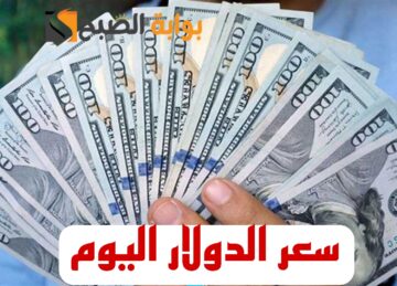 “بكام النهارده يا دولار”.. تعرف على اسعار الدولار اليوم السبت 10 فبراير 2024 في مختلف البنوك