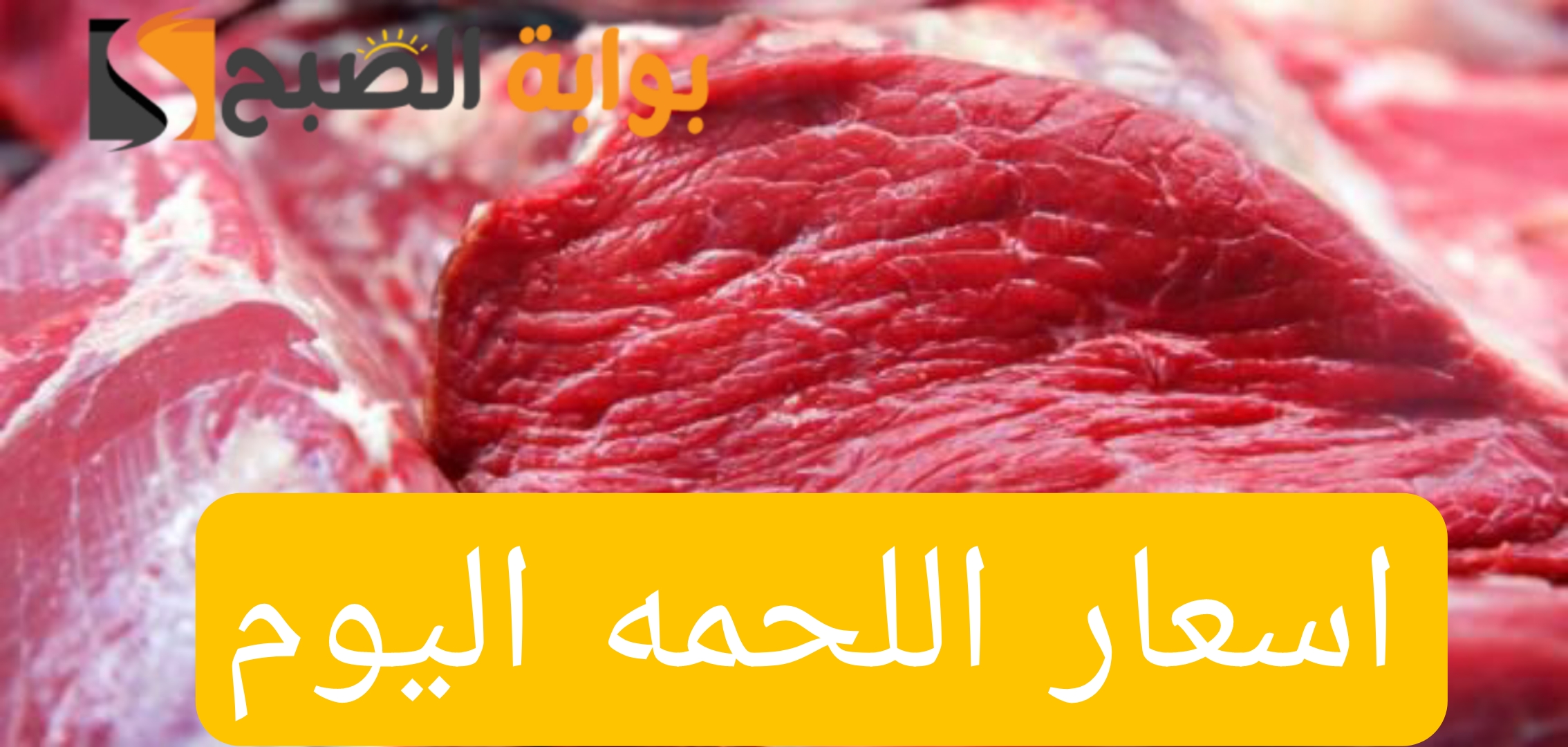 "بكام النهارده اللحمه".. تعرف على اسعار اللحمه اليوم السبت 10 فبراير 2024 6 “بكام النهارده اللحمه”.. تعرف على اسعار اللحمه اليوم السبت 10 فبراير 2024